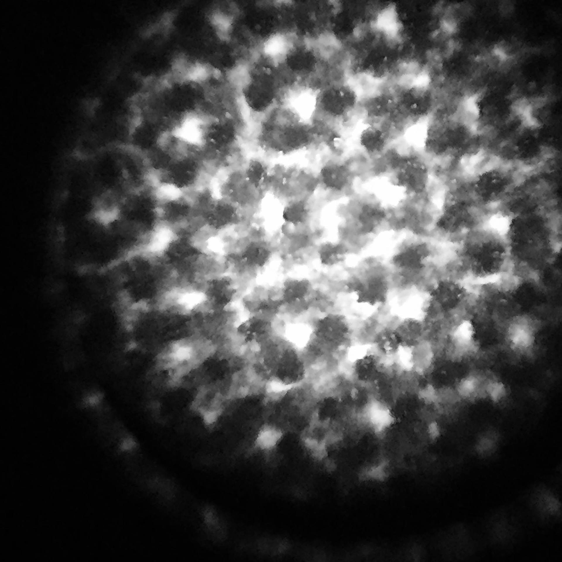 12030386_836535716461218_1052246362971942245_o.jpg
